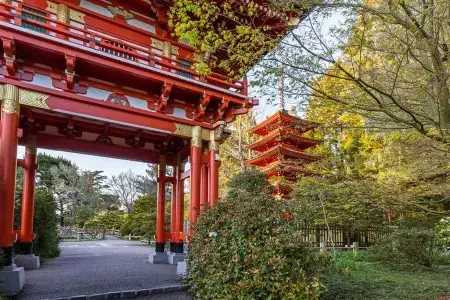 如何 Tea花园Temple